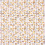 Algodón Gatitos Suerte - Ribes y Casals