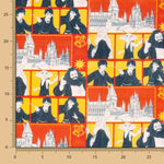 Algodón Harry Potter Friends - Ribes y Casals