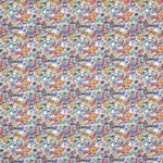 Algodón No Paint Multicolor - Ribes y Casals