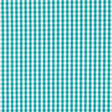 Algodón Vichy Mini Verde - Ribes y Casals