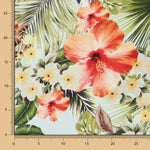 Algodón Moda Caribe Celeste - Ribes y Casals