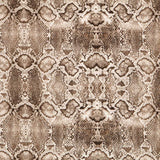 Algodón Spandex Reptil Beige - Ribes y Casals