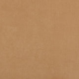 Ante Fino de Punto Arcilla - Ribes y Casals