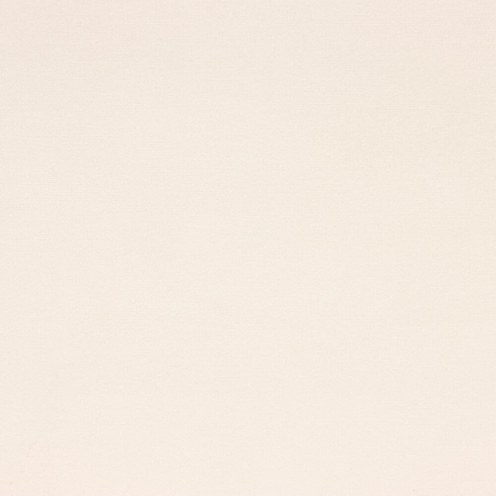 Terciopelo Liso Tapicería Antimanchas Crudo - Ribes y Casals