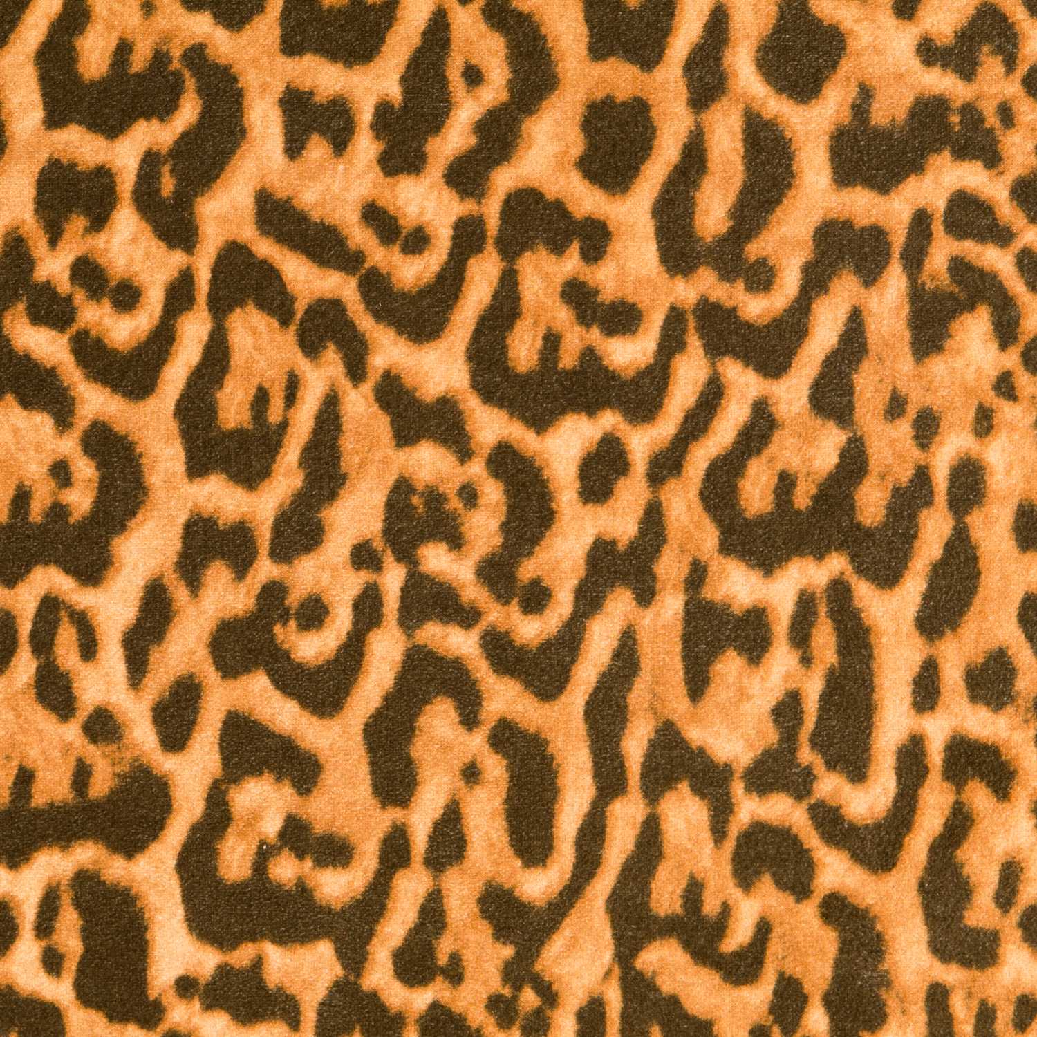 Antelina Animal Print Camel - Ribes y Casals