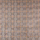 Antelina Gales Mini Camel - Ribes y Casals