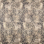 Antelina Snake Beige - Ribes y Casals