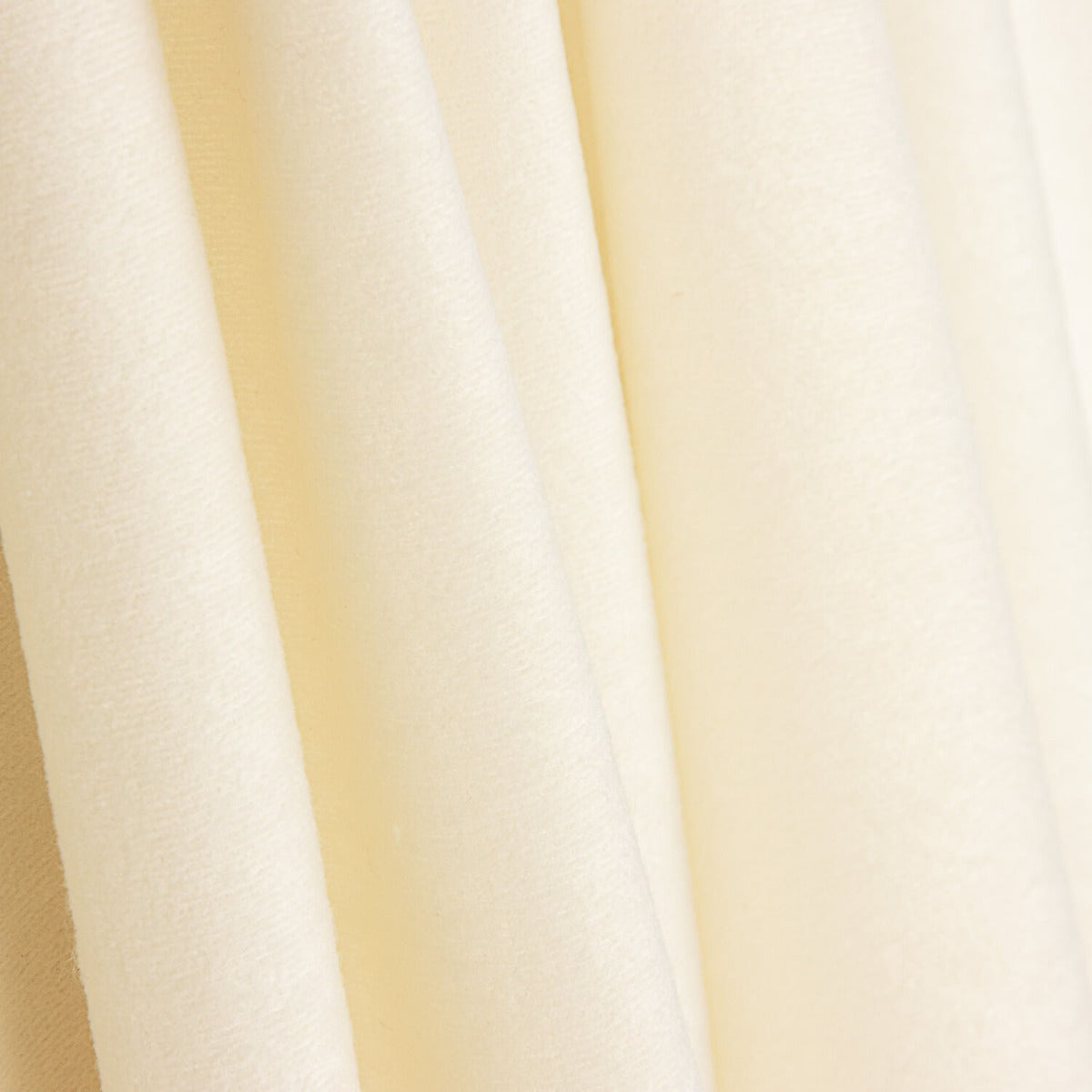 Antelina Cruda - Ribes y Casals