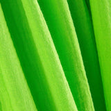 Bambula Algodón 140 cm Verde Loro - Ribes y Casals