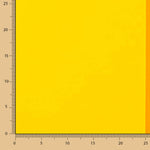 Bandera Orgullo Arcoiris Mate - Ribes y Casals