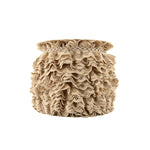 Tira de Puntilla Beige 22 mm - Ribes y Casals