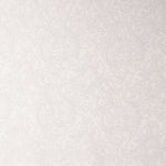 Brocado Lurex Plata Blanco - Ribes y Casals