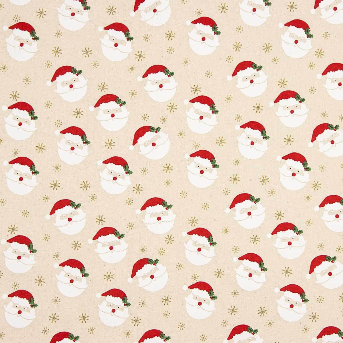 Canvas Navidad Santa Claus - Ribes y Casals