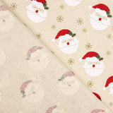Canvas Navidad Santa Claus - Ribes y Casals