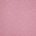 Cloque Ciclámen - Ribes y Casals