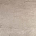 Coralina Piedra - Ribes y Casals