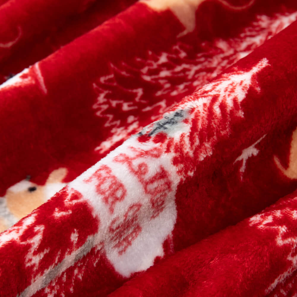 Coralina Letters Granate - Ribes y Casals