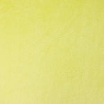 Coralina Lima - Ribes y Casals