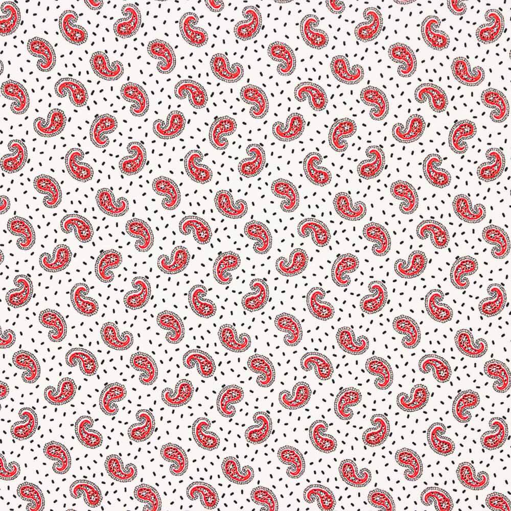 Crep Poliéster Mini Cachemire Blanco - Ribes y Casals