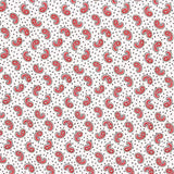 Crep Poliéster Mini Cachemire Blanco - Ribes y Casals