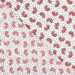 Crep Poliéster Mini Cachemire Blanco - Ribes y Casals