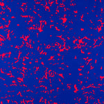 Crepe Electric Coral - Ribes y Casals