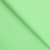 Bellardina Pétalo de Rosa color  Menta - Ribes y Casals