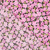 Crepe Viscosa Florecitas Rosas - Ribes y Casals