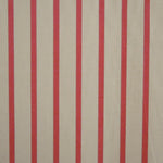 Crispy Estampado Beige Raya Coral - Ribes y Casals