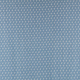 Denim Fino Cactus Azul - Ribes y Casals