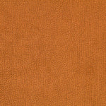 Doble Faz Cuadro Camel Ante Camel - Ribes y Casals