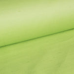 Dupión Seda Lima - Ribes y Casals