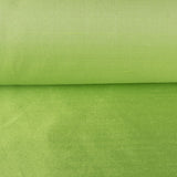 Dupión Seda Lima - Ribes y Casals