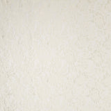 Encaje Chantilly Crudo - Ribes y Casals