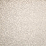 Encaje Lamé Oro Blanco - Ribes y Casals