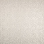 Encaje Lamé Oro Blanco - Ribes y Casals