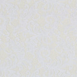 Encaje New Rebrodé Blanca - Ribes y Casals