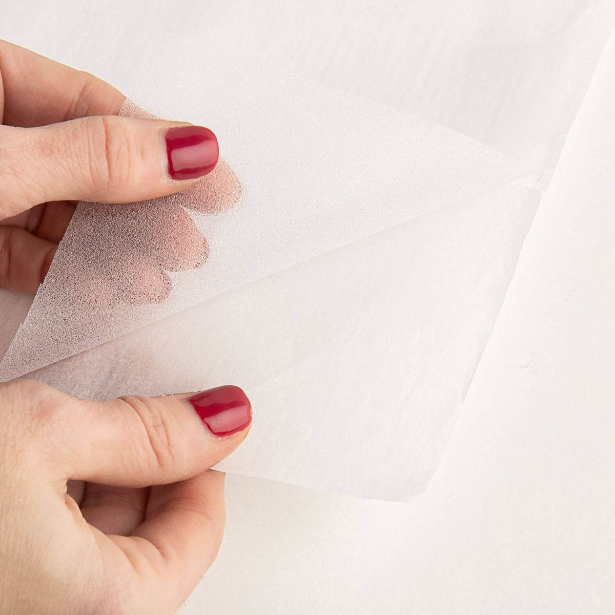 Entretela Tela de Araña Blanca - Ribes y Casals