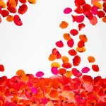 Fama Stretch Pétalos Roja - Ribes y Casals