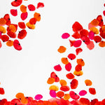 Fama Stretch Pétalos Roja - Ribes y Casals