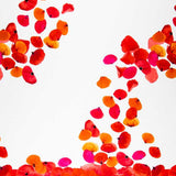 Fama Stretch Pétalos Roja - Ribes y Casals