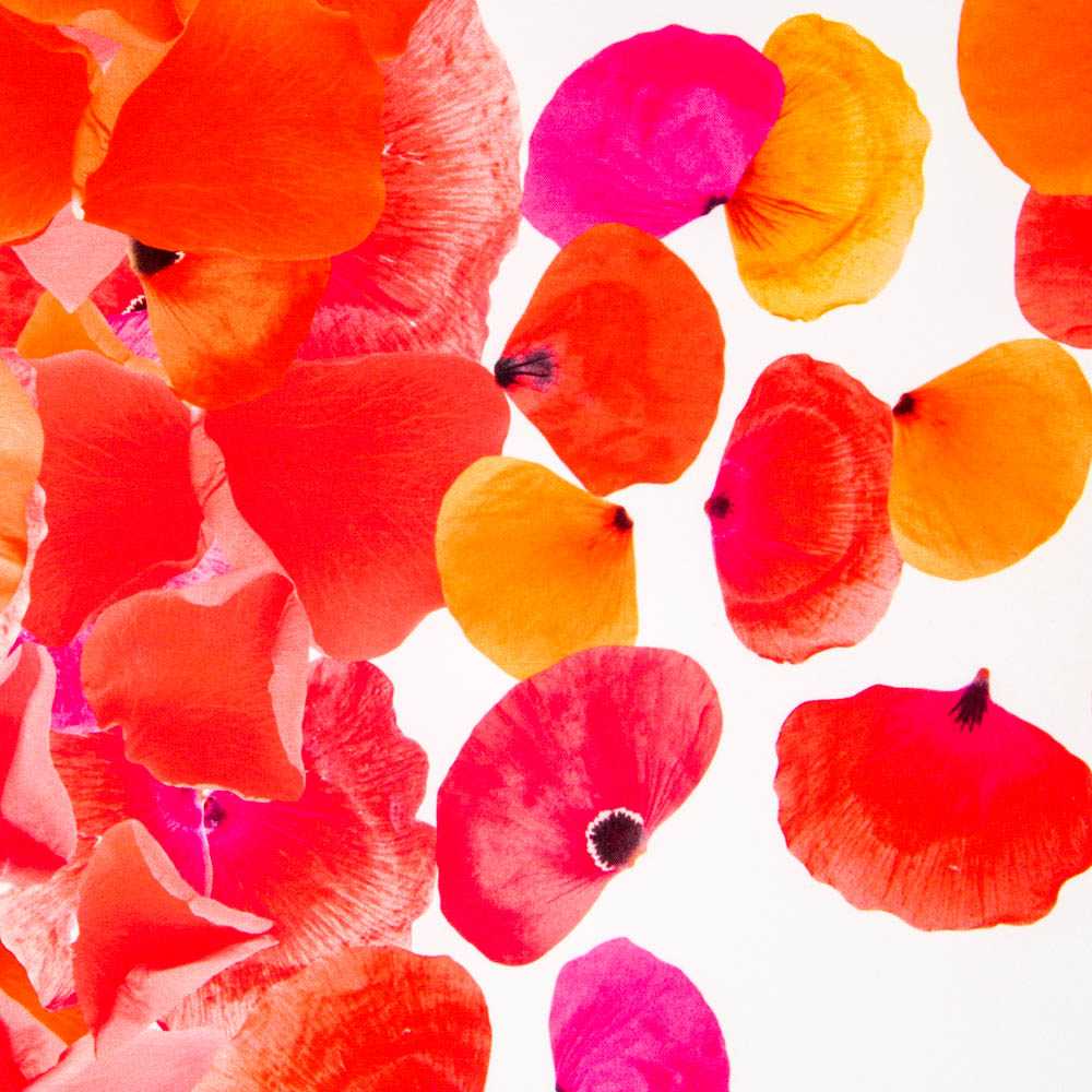 Fama Stretch Pétalos Roja - Ribes y Casals