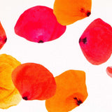 Fama Stretch Pétalos Roja - Ribes y Casals