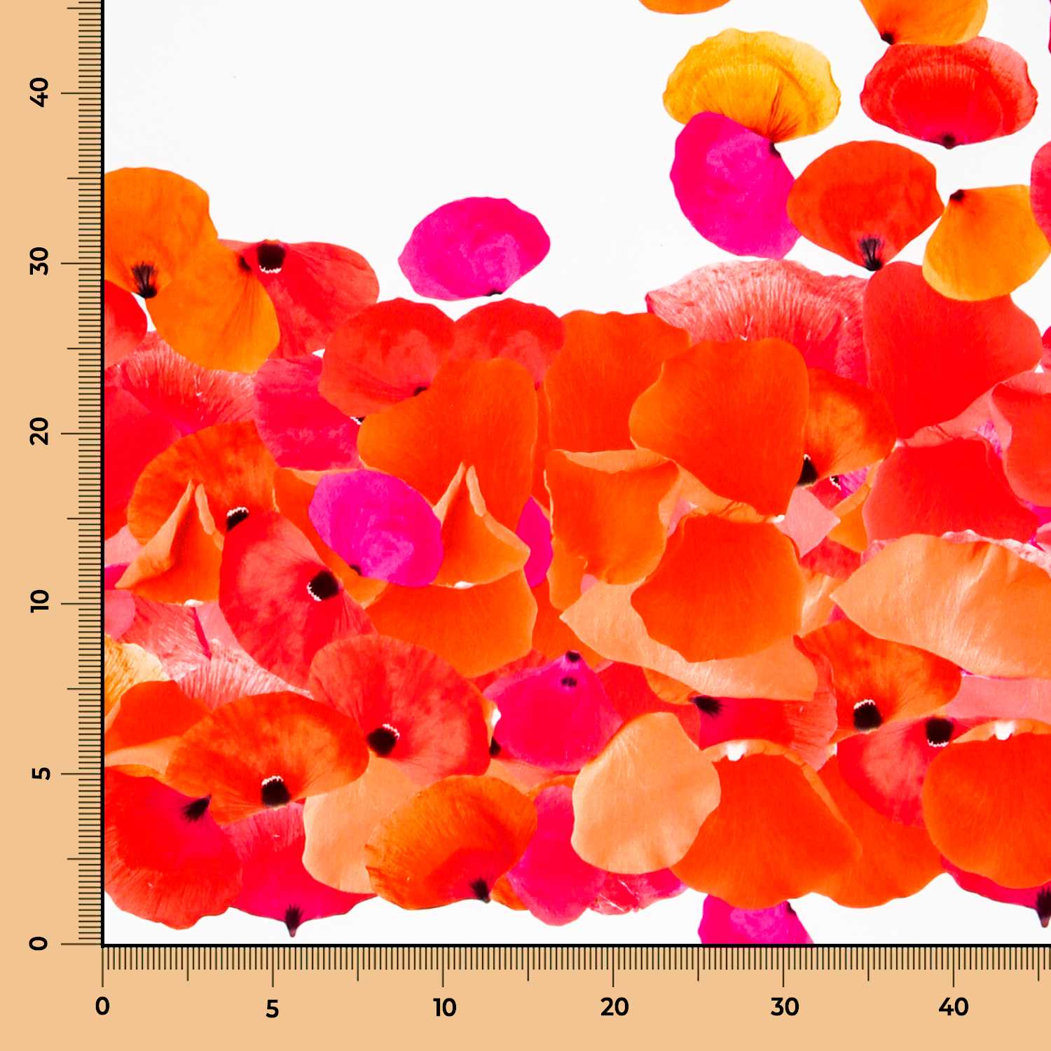 Fama Stretch Pétalos Roja - Ribes y Casals