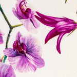 Fama Stretch Rocío Blanca - Ribes y Casals