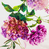 Fama Stretch Rocío Blanca - Ribes y Casals