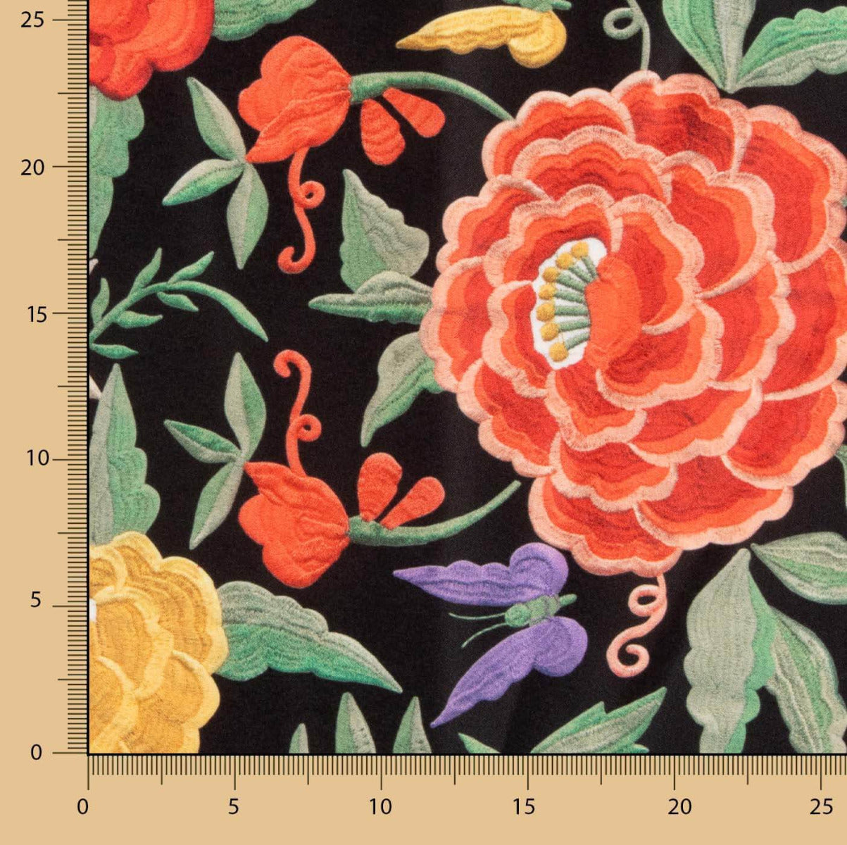 Fama Strecht Manila Negro - Ribes y Casals