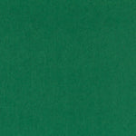 Fieltro Verde 160 - Ribes y Casals