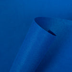 Fieltro Azulón 180gr - Ribes y Casals