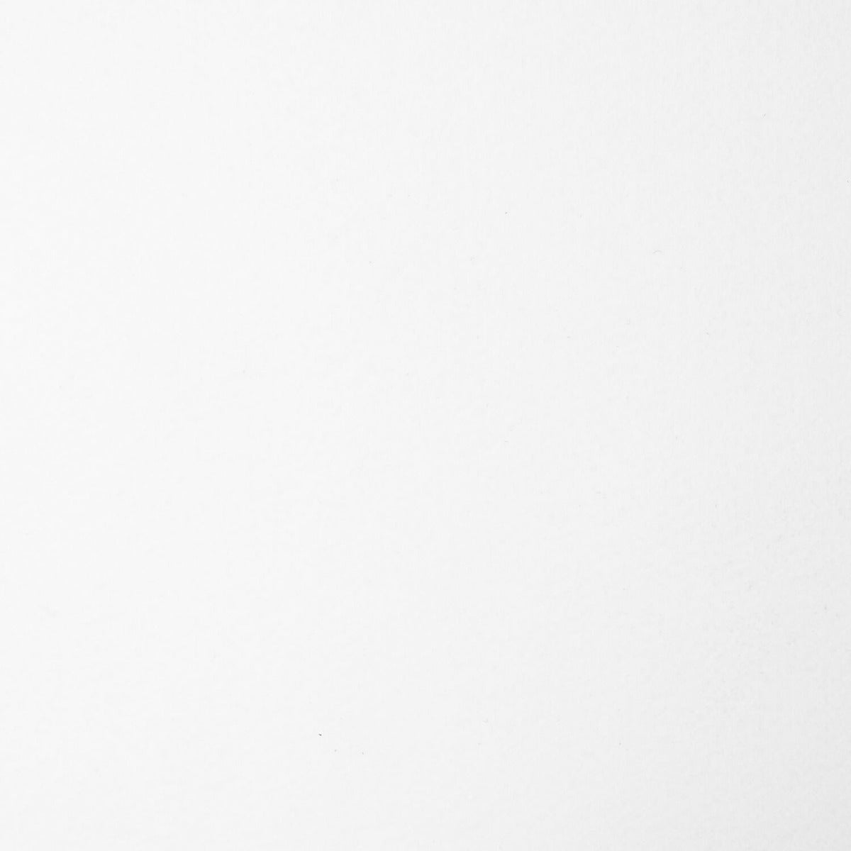 Fieltro Blanco 180gr - Ribes y Casals